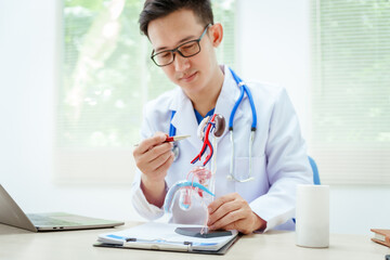 A male doctor sits at a desk in a hospital, discussing male urinary tract models and conditions...