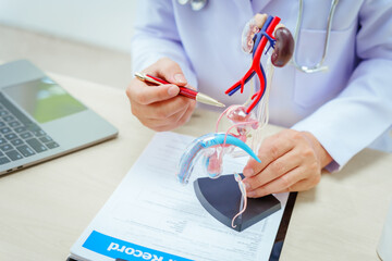 A male doctor sits at a desk in a hospital, discussing male urinary tract models and conditions...