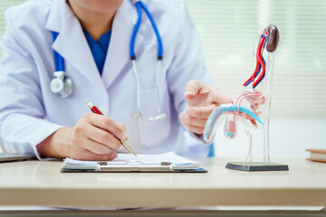 A male doctor sits at a desk in a hospital, discussing male urinary tract models and conditions...