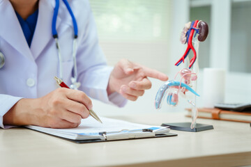 A male doctor sits at a desk in a hospital, discussing male urinary tract models and conditions...