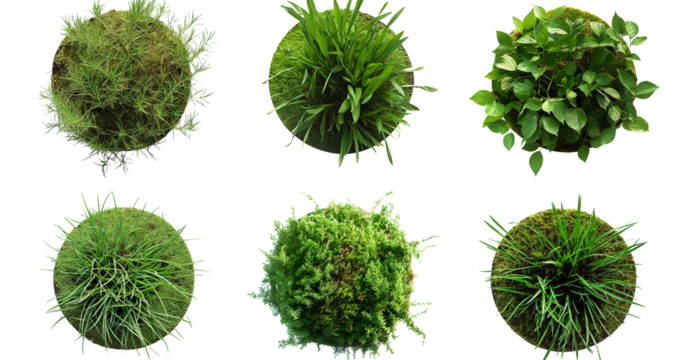 Six Circular Green Plants Moss, Grass, and Leafy Greenery