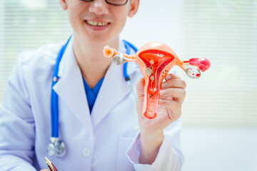 A male doctor wearing glasses sits at a desk in a hospital, discussing a uterus model and women’s health issues like uterine tumors, endometriosis, cervical cancer, and ovarian cancer