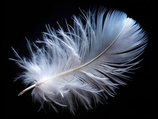Obraz premium Soft Fluffy White Down Feather on Black Background - Low Light Photography, Close-Up, Textured, Minimalist, Macro Shot, Elegant, Softness