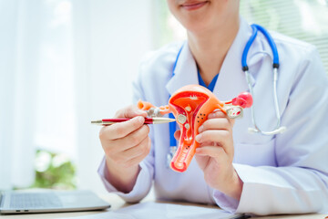 A male doctor wearing glasses sits at a desk in a hospital, discussing a uterus model and women’s health issues like uterine tumors, endometriosis, cervical cancer, and ovarian cancer