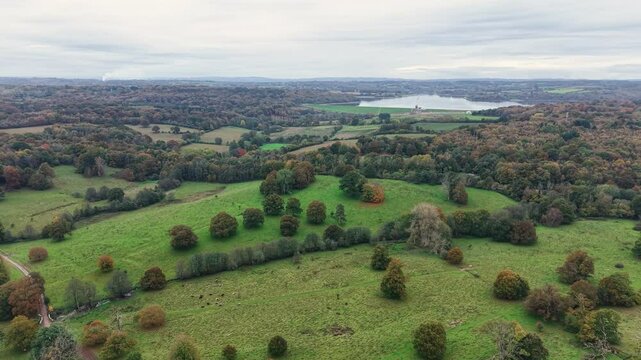 Serene woodlands in autumn colours of English countryside and Bewl water lake, Kent, UK, aerial view