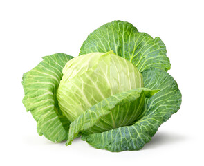 Fototapeta premium Fresh cabbage isolated on white background. Clipping path.