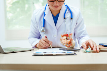 A male doctor in a hospital sits at a desk, explaining pregnancy models, symptoms during pregnancy, important tips for pregnant mothers, and fetal development stages across nine months