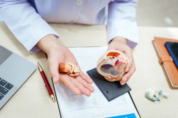 A male doctor in a hospital sits at a desk, explaining pregnancy models, symptoms during pregnancy, important tips for pregnant mothers, and fetal development stages across nine months