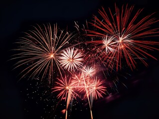 Fototapeta premium fireworks &nbsp;light up the sky Abstract colored firework background.