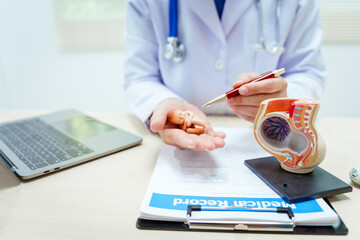 A male doctor in a hospital sits at a desk, explaining pregnancy models, symptoms during pregnancy, important tips for pregnant mothers, and fetal development stages across nine months