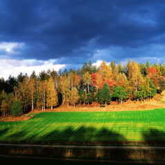 嵐の合間の紅葉（美瑛町）
