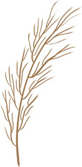 Fototapeta premium dried leaves decoration
