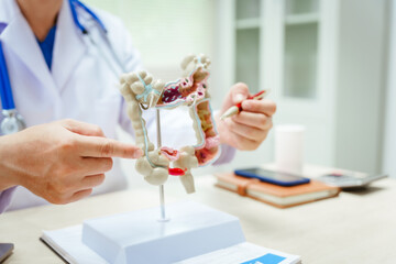 A male doctor wearing glasses sits at a desk, explaining an intestinal model, discussing anatomy,...