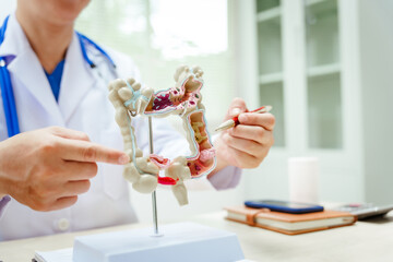 A male doctor wearing glasses sits at a desk, explaining an intestinal model, discussing anatomy,...