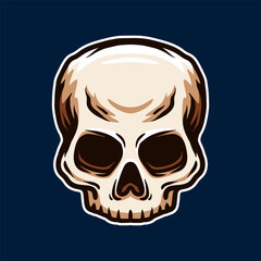 human skull isolated drawing line art style sketch classic vintage design illustration