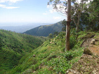 landscape in the mountains