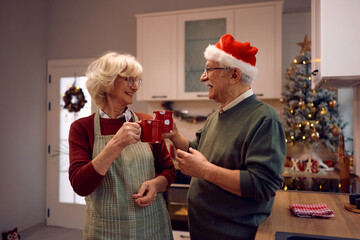 Happy senior couple toasting with mulled wine in the kitchen on Christmas.