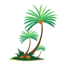 Obraz premium Vector cuconute tree