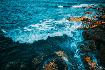 La Perouse is a suburb in the Eastern Suburbs of Sydney, in the state of New South Wales, Australia. The suburb of La Perouse is located about 14 kilometers southeast of the Sydney central 