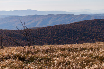 Autumn in Bieszczady Mountains, Poland. View from yellow trail from Wielka Rawka to Mala Rawka