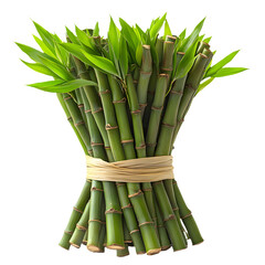 Fototapeta premium Bamboo Stalks and Leaves Isolated on Transparent Background