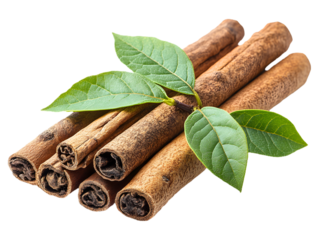 Cinnamon Sticks with Fresh Green Leaves Isolated on Transparent Background