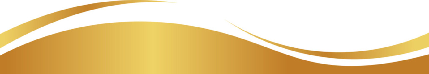 Elegant Luxury Footer