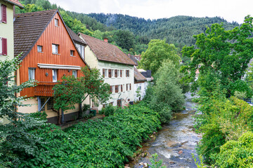 Schwartzwald forest and towns in Germany | Black Forest | Green cities | Thriving forests in healthy environment