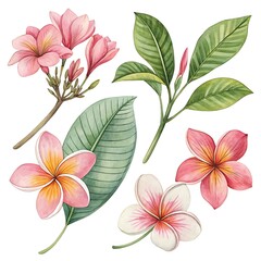 Fototapeta premium Watercolor Flower and leaf collection