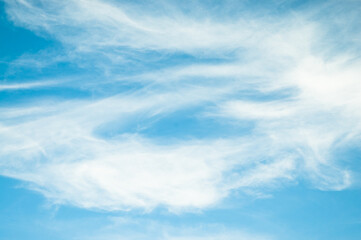 blue sky and feather clouds view from below