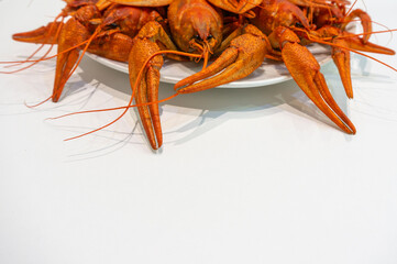 boiled crayfish on a white plate.