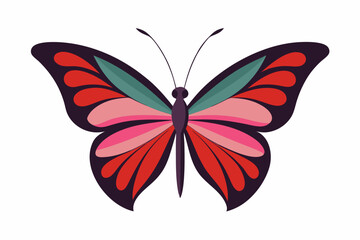 butterfly on a white background