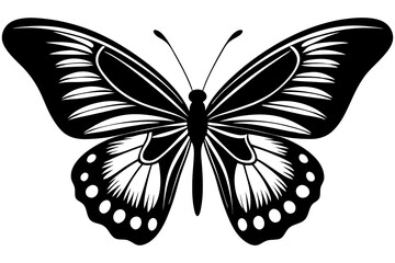 batterfly