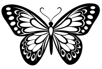 black and white butterfly
