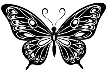 black and white butterfly