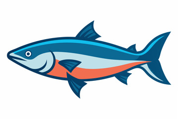 fish on white background