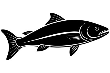 fish on a white background