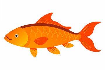 goldfish