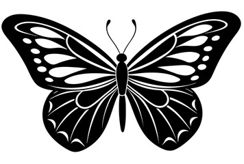 black and white butterfly