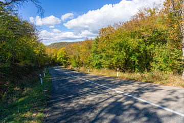 An asphalt road with posts along the edges and a white dividing line passes through trees and bushes with autumn leaves. Hills and clouds are in the background