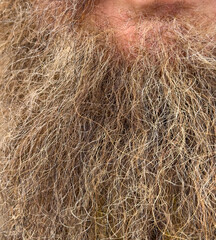 A close up of a man's beard with a lot of hair