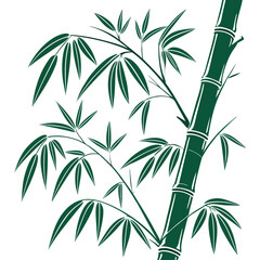 bamboo