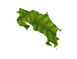Costa Rica map made of green leaves on White background ecology concept
