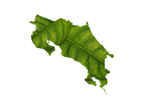 Costa Rica map made of green leaves on White background ecology concept
