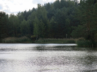 quiet forest lake in the Lopatinsky quarries near the village of Phosphorite