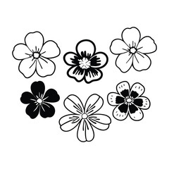 Six Nemesia Flower Silhouette Vector Art on White Background