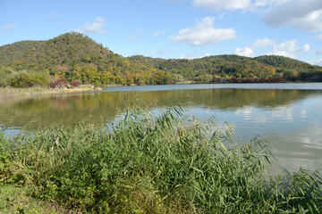 広沢池　京都市右京区嵯峨