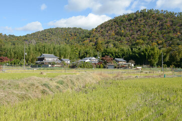 嵯峨野　田園風景　京都市右京区嵯峨