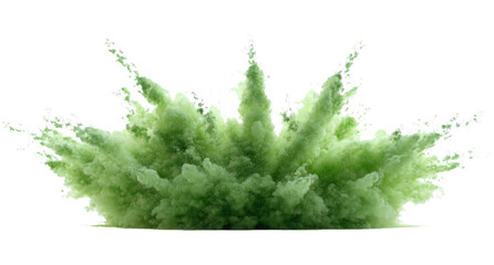 bright green paint color powder festival explosion burst isolated white background.	
