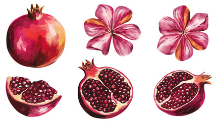 Red ripe pomegranate fruit and pomegranate cut, pomegranate flower branch and leaves, watercolor pomegranate illustration, botanical illustration